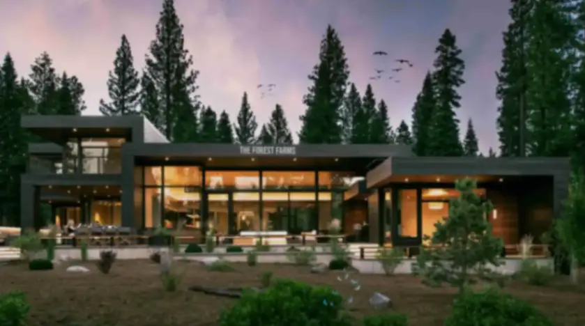 The Forest Farms House Sector 151A Noida